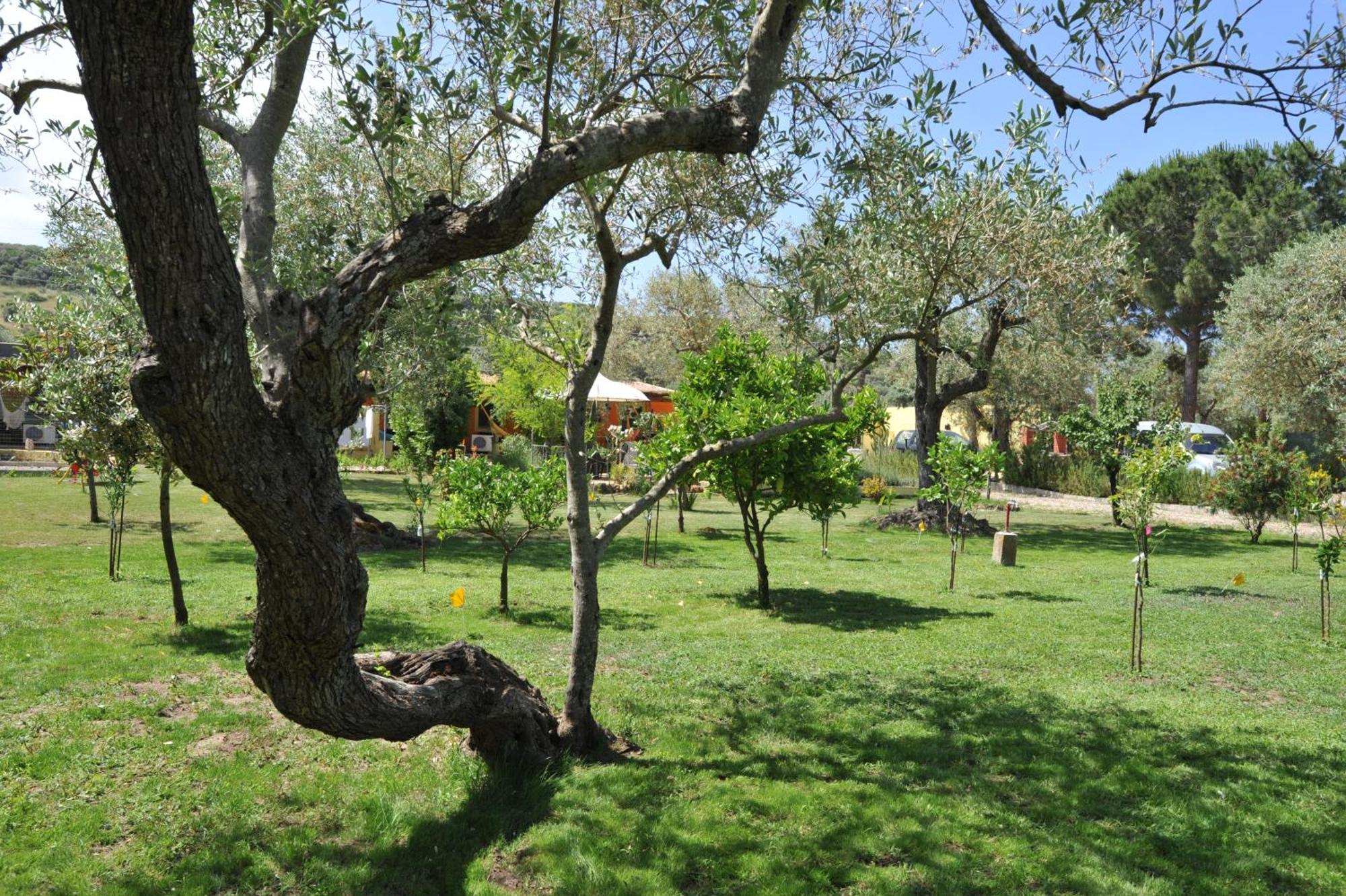 Butterfly House Bed & Breakfast Alghero Luaran gambar